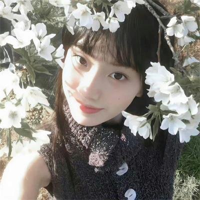 寻羊勇探 海报